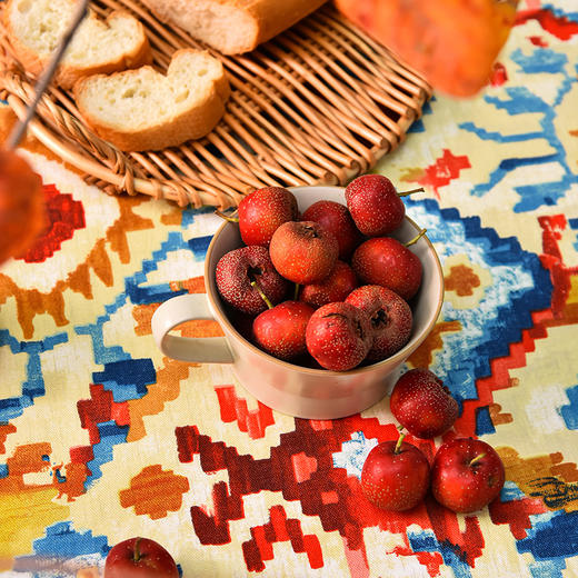 维米尔的阳光系列长方形桌布节日氛围棉质桌布 商品图2