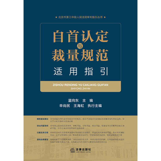 自首认定与裁量规范适用指引 蓝向东主编 辛尚民 王海虹执行主编 商品图8