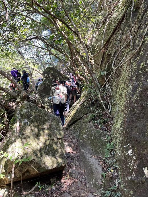 【泊寓户外】11月26日登马峦山品原生态土鸡 商品图6