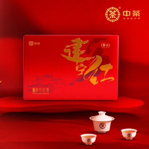 中茶 海堤 建宁红茶叶礼盒 XBT339特选80g（4g*20包 商品图0