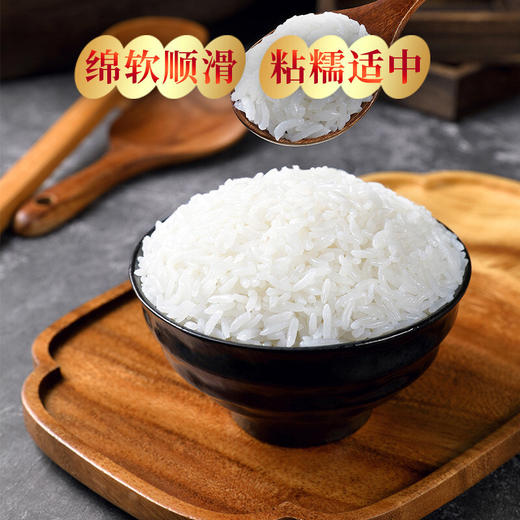 柴火大院  五常大米 绿色食品 稻花香米 东北大米5kg 商品图3