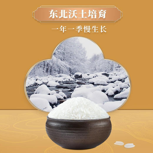 柴火大院 长粒香大米 5kg 东北大米 十斤 商品图1