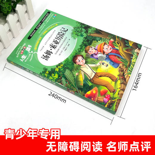 汤姆·索亚历险记 美绘版 商品图1