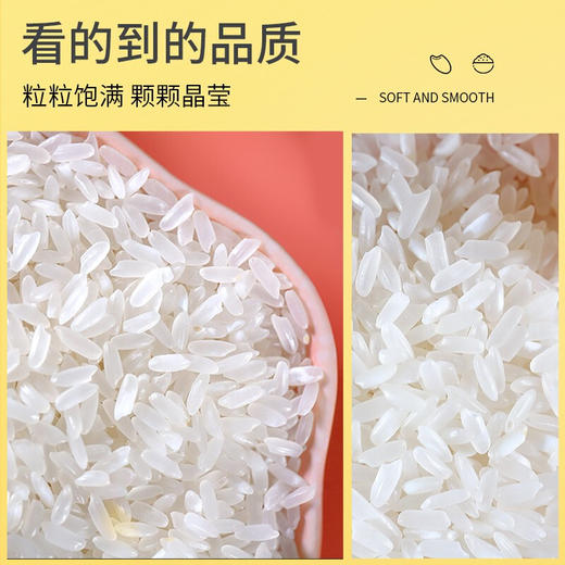 十月稻田 稻花香2号 东北大米 东北香米 5kg 商品图4