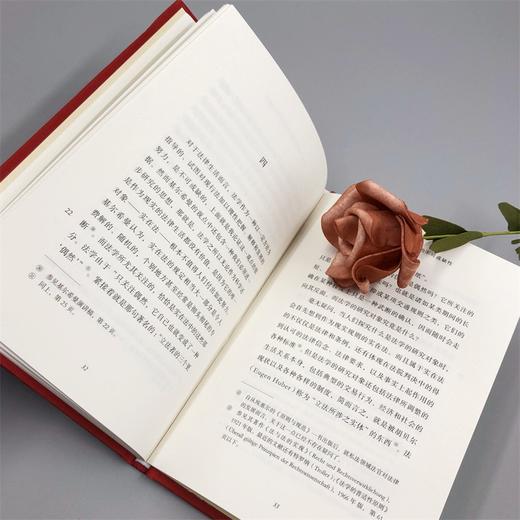 论作为科学的法学的不可或缺性（德国法学名家名篇） 商品图6