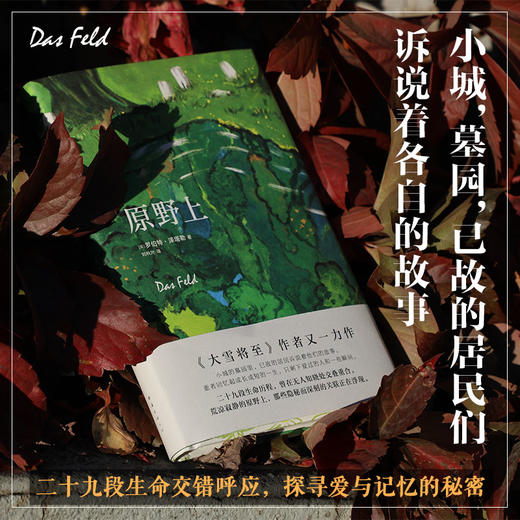 原野上 商品图1