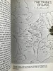 恺撒大帝《高卢战记与其他作品》 30幅插图 苍鹭出版社（HeronBooks）复古仿皮精装本 商品缩略图12