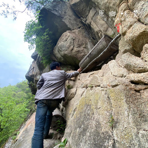 天然蜂蜡唇膏（成都仓库-顺丰快递） | 4g/支，来自陕西汉中，生产者：刘蜜书【合作生产，公平贸易】 商品图5