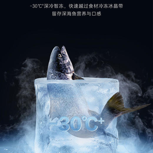 卡萨帝（Casarte）冰箱 BCD-380WLCI374T1U1 冰瓷基岩灰 商品图10