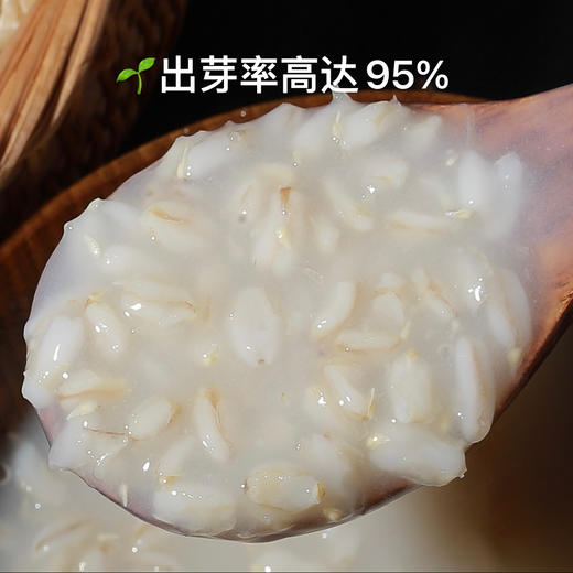 内蒙武川燕麦胚芽米   丝滑Q弹的口感 高蛋白、低GI 营养好粗粮 商品图0