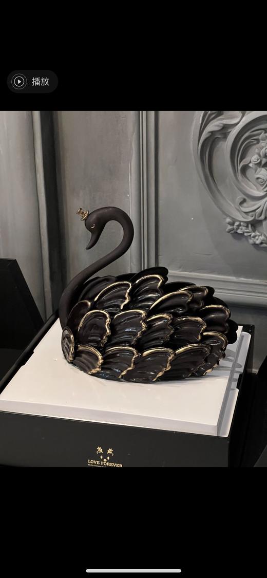 黑天鹅 商品图0