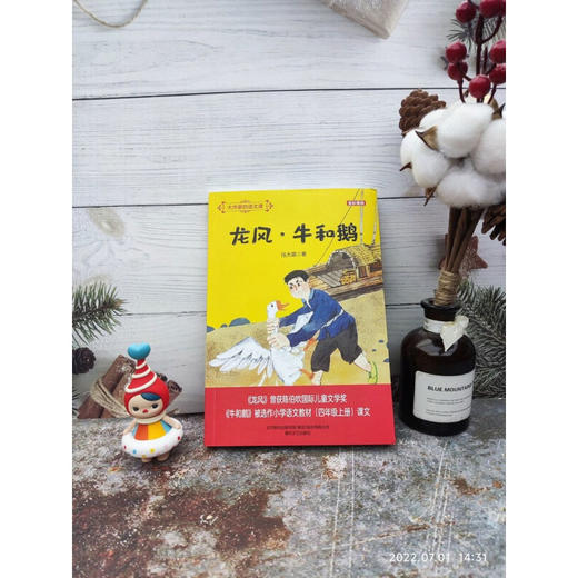 大作家的语文课 龙风牛和鹅 全彩美绘 7-10岁 任大霖 著 儿童文学 商品图3
