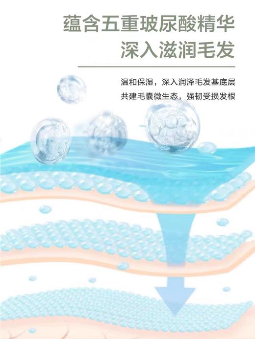 【积分商城】金多乐湿巾NACA宠物5D玻尿酸清洁护理手套沐浴露/清洁湿巾 商品图6