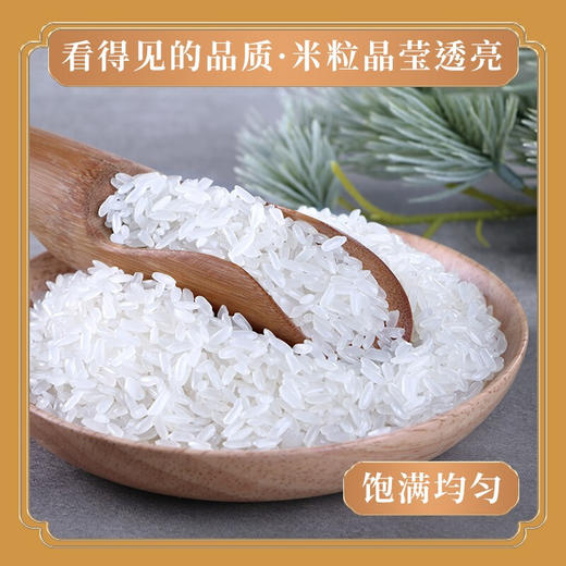 柴火大院 长粒香大米 5kg 东北大米 十斤 商品图2
