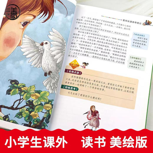 爱丽丝漫游奇境记 商品图1