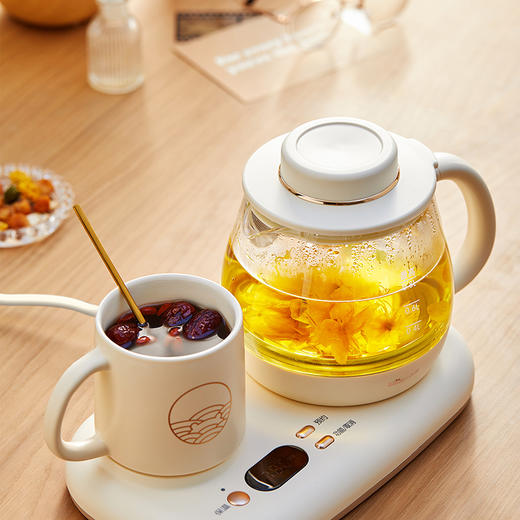 【小程序】小熊养生壶 YSH-D08D3 米黄色 壶盖+玻璃壶身+底座+陶瓷杯 商品图7