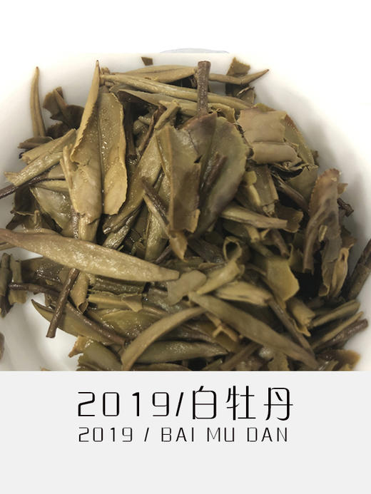 2019年白牡丹 商品图3