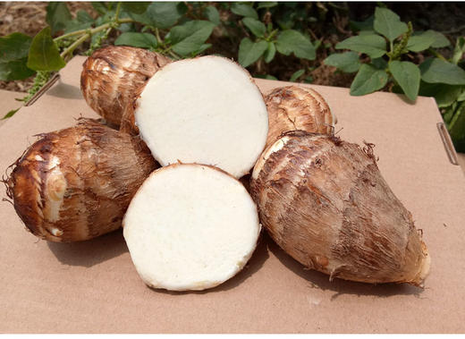 丰硒农业红芽小芋仔2斤装 商品图4