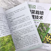 图说野菜栽培关键技术 商品缩略图5