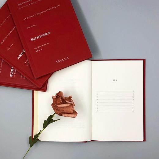 古典私法典的社会模式与现代社会的发展（德国法学名家名篇） 商品图5