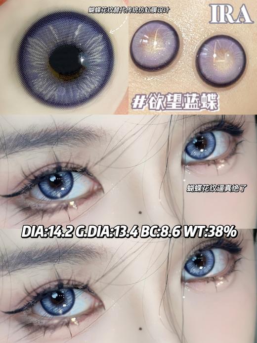 IRA 美瞳半年抛 欲望蓝蝶 直径14.2mm着色13.4mm 商品图8
