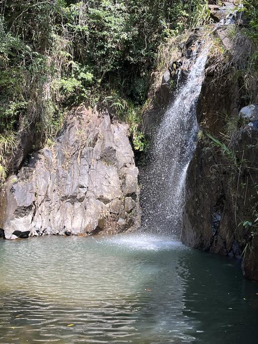 【泊寓户外】11月26日登马峦山品原生态土鸡 商品图4