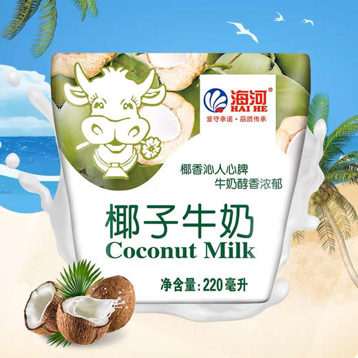 海河椰子牛奶调制乳 商品图0