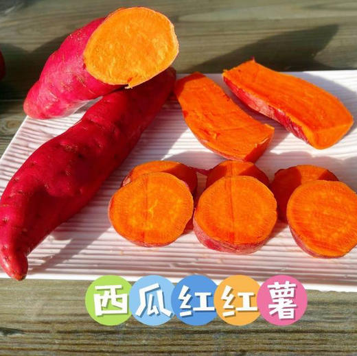 袋装5公斤五家渠有机种植西瓜红  20袋起送 商品图0