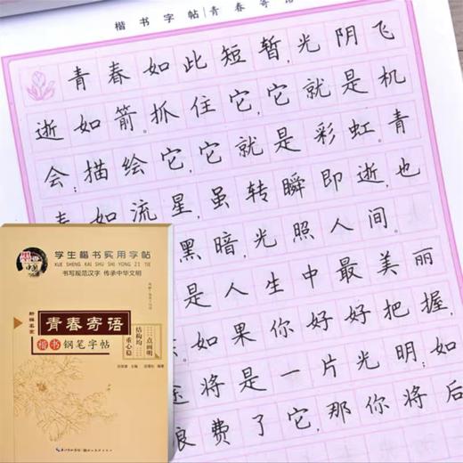 墨香中国田英章楷书硬笔临摹字帖入门基础训练钢笔楷书字帖成年男生女生字体漂亮书法小学楷体初中高中生古诗词大学生成人正楷字帖 商品图8