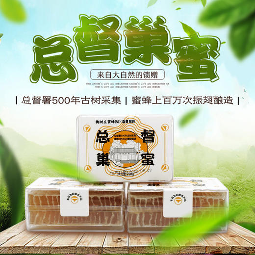 直隶总督巢蜜 250g 采自500年古树 高营养 高活性的自然成熟蜂巢蜜 商品图1