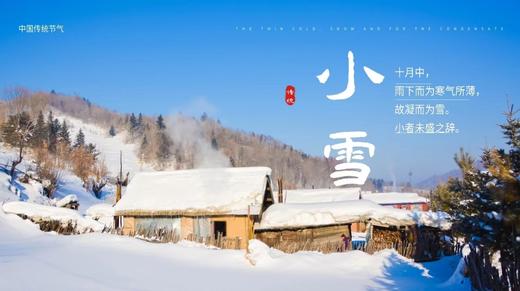 会员服务：1205周一早我是一棵菠菜 商品图0