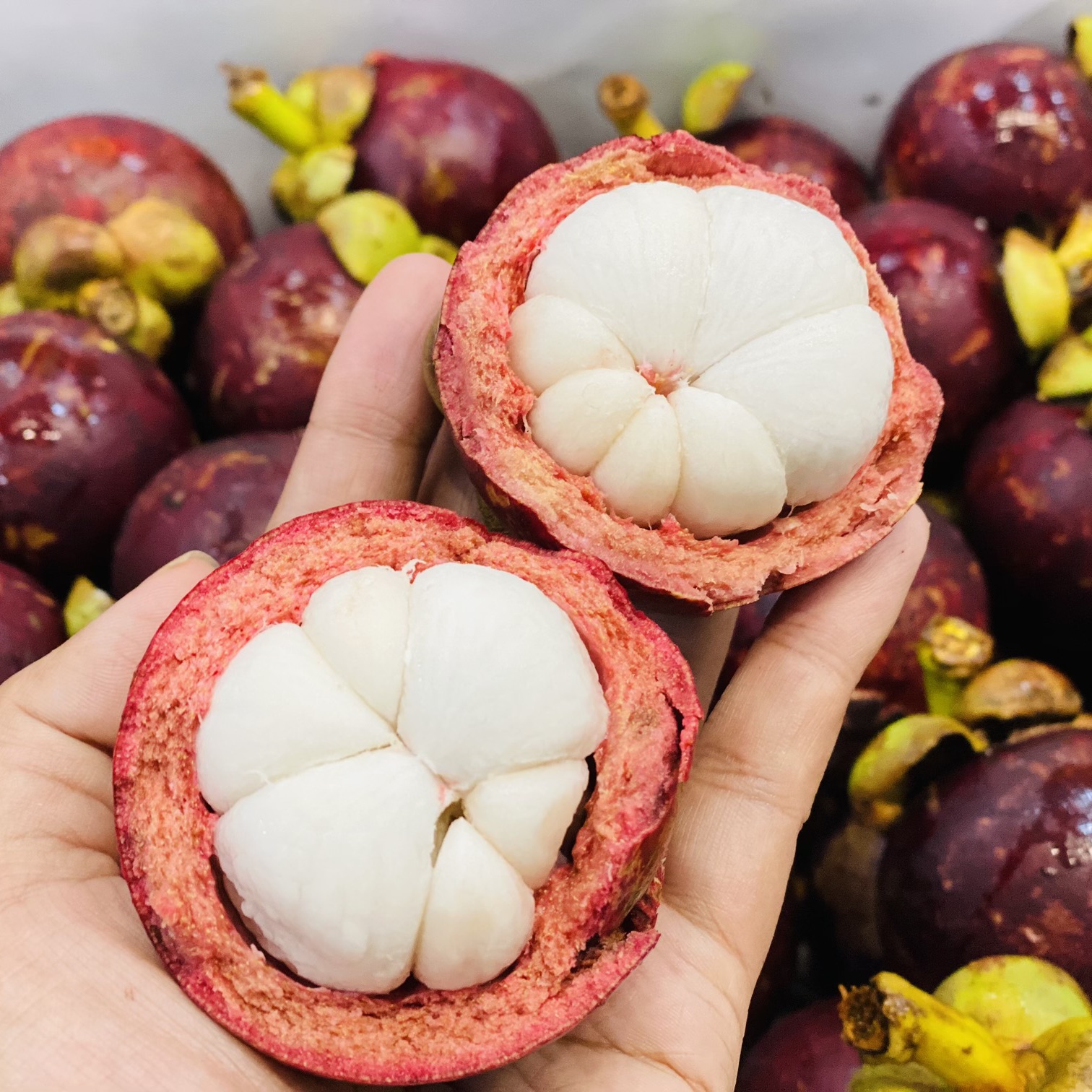 泰国🇹🇭5A山竹