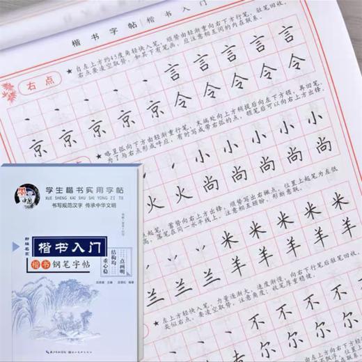 墨香中国田英章楷书硬笔临摹字帖入门基础训练钢笔楷书字帖成年男生女生字体漂亮书法小学楷体初中高中生古诗词大学生成人正楷字帖 商品图2