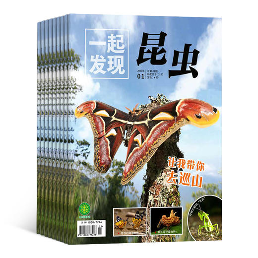 一起发现昆虫（自然科普 走近自然）2026年1月起订（1年共12期）  8-15岁青少年 商品图3