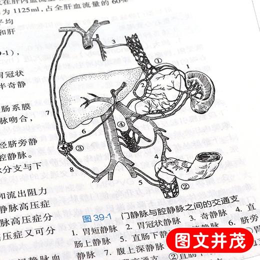 全2册外科学 第9版+外科学学习指导与习题集 第4版 本科临床西医教材内妇产诊断儿科病理学十三五规划 人民卫生出版社 商品图4