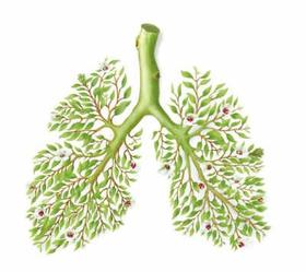 养肝就是养命，肝脏好不好，看身体这4处就知道，提前预防身体好