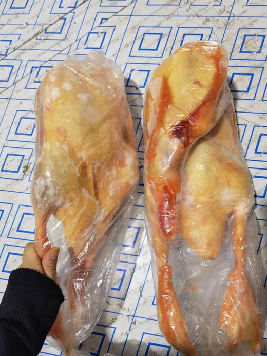 麻鸭一只（拼团） 商品图1
