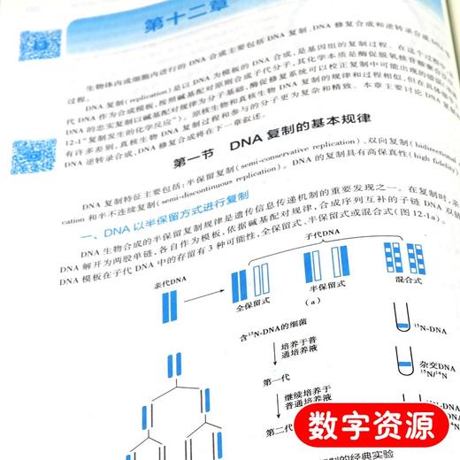 全2册 生物化学与分子生物学第9版+生物化学与分子生物学学习指导与习题集 本科临床配套 基础预防口腔十三五规划 人民卫生出版社 商品图4