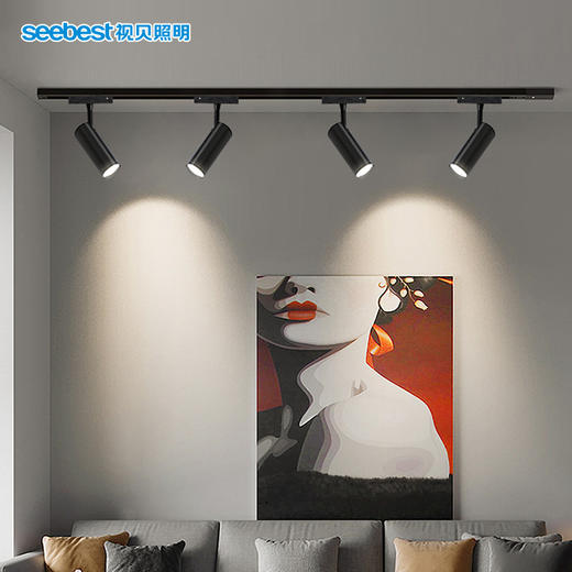 星耀系列-轨道射灯（4200k停产） 商品图3