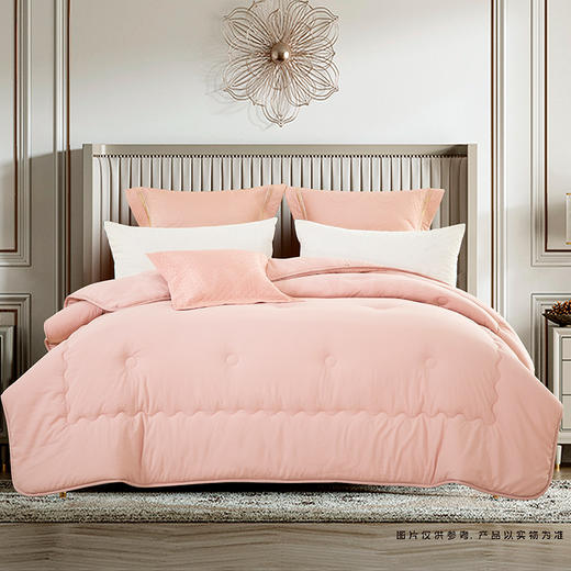 鑫缘 软糯磨毛加厚保暖被 BTJ2023 商品图0