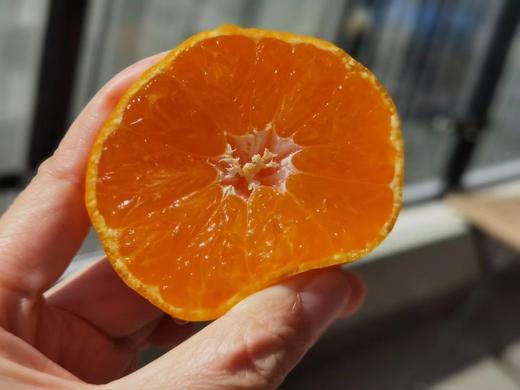 【甜！】涌泉高山蜜桔 5斤装 橘子 流蜜爆汁  皮薄如纸 无核无渣 商品图13