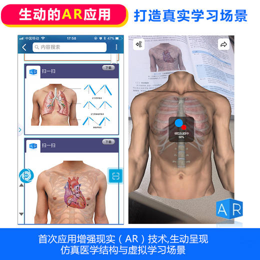 全2册系统解剖学 第9版+系统解剖学习题集 第3版 本科临床西医教材基础临床预防口腔十三五规划 人民卫生出版社 商品图4