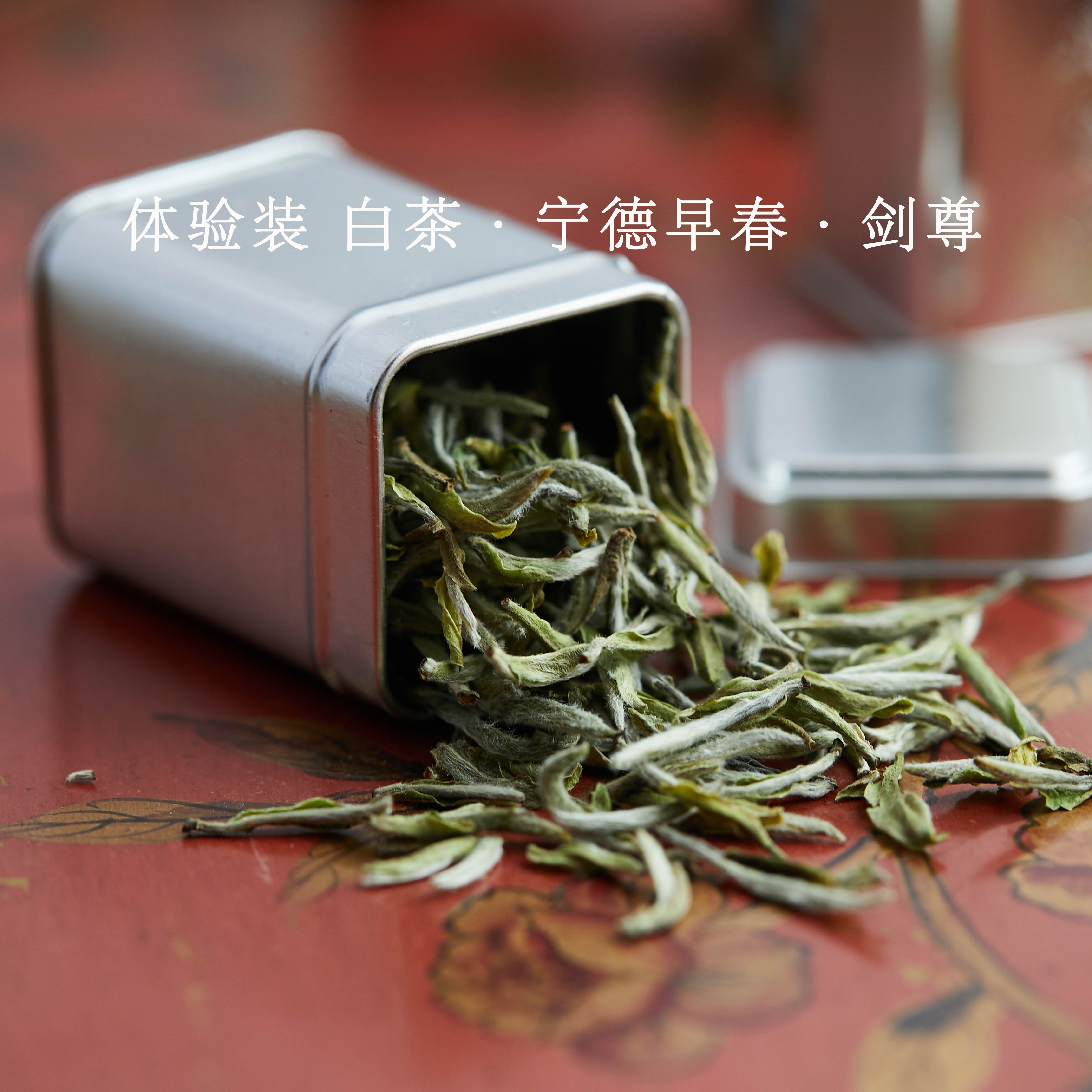 体验装 吴德泰白茶·宁德早春·剑尊（2019年）