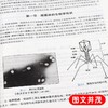 全2册 医学微生物学 第9版+医学微生物学学习指导与习题集 第2版 本科临床西医教材 基础临床预防口腔十三五规划 人民卫生出版社 商品缩略图4