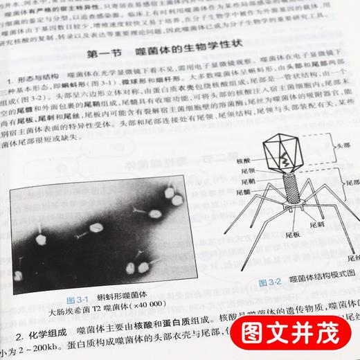 全2册 医学微生物学 第9版+医学微生物学学习指导与习题集 第2版 本科临床西医教材 基础临床预防口腔十三五规划 人民卫生出版社 商品图4