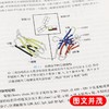 全2册 医学免疫学 第7版+医学免疫学学习指导与习题集 第3版 本科临床西医教材 基础临床预防口腔十三五规划 人民卫生出版社 商品缩略图4