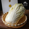 生态翠玉大白菜 | 合作生产* Ecological emerald Chinese cabbage  | Coproduction 商品缩略图1