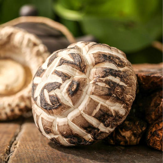 茂兰山语大花菇200g/袋【厂家直发】 商品图3