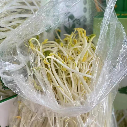 【周二送达】溧阳白芹，入口脆嫩，生吃都可以，微甜爽口，清炒都是一盘美味！ 商品图3