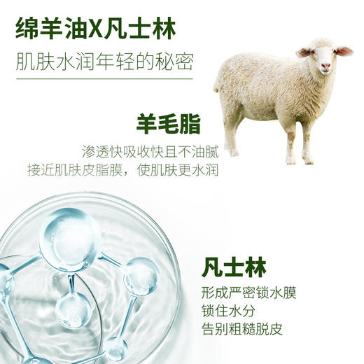 【到手两盒丨凡士林】保湿霜140g*2 商品图2